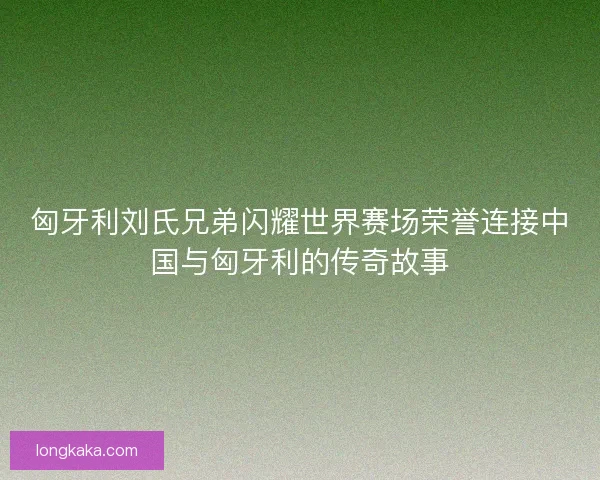 匈牙利刘氏兄弟闪耀世界赛场荣誉连接中国与匈牙利的传奇故事